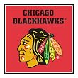 Chicago Blackhawks NHL Note Cube
