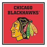 Chicago Blackhawks NHL Note Cube