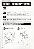 整体療術教本(DVD付) ―豊富なイラストと映像でわかりやすい! 整体療術を習得するための決定版