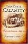 This Great Calamity