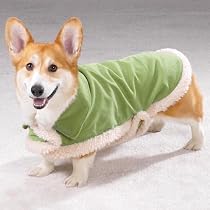 Shimmer Suede Berber Dog Puppy Coat Jacket with Removable Hood Extra Small XS Clothing