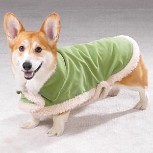 x-small suede dog jacket