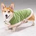 Shimmer Suede Berber Dog Puppy Coat Jacket with Removable Hood Extra Small XS Clothing