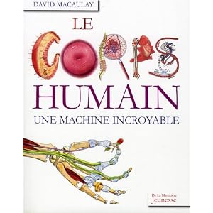 Le corps humain : Une machine incroyable