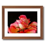Framed Oak Pink Rose Flowers Wall Decor Contemporary Pictures Art Print by 