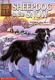 Sheepdog in the Snow