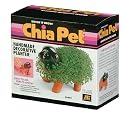 Chia Pet Puppy