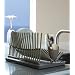 Black+Blum High&Dry Dish Drainer, Sage