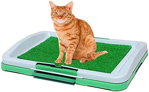 Animals Heaven AH-0002 Scented Turf Top