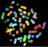 Genes and Disease - Chromosome Map