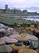 Sea of Umbrellas and Canvas Nearly Covers Mar Del Plata Beach Photographic Poster Print by Leonard Mccombe, 18x24