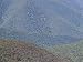 Aerial View of Alpine Ash, Aka Woollybut, in a Forested Valley, Alpine Nationals Park...