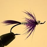 Great Lakes Comet Size: Color: Purple