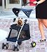 Outward Hound Walk N Roll Top Flap Stroller