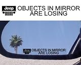 (2) Mirror Decals