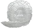 Clear Glass Turtle Shell Large Bowl 13 3/4"x13 3/4"x2 1/2"