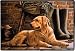 Doormat - D73 Patience is 