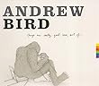Things are Really Great Here, Sort Of... by Andrew Bird (2014-06-10)【並行輸入品】