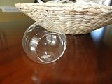 Glass Hanging Plant Terrarium Votive Holder 4 1/2 By Hinterland Trading