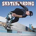 Skateboarding 2010 Wall (Wall Calendar)