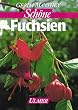 Fuchsien auf Balkon und Terrasse (Garten-Ratgeber)