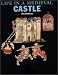 Life in a Medieval Castle (English Heritage)