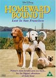 Homeward Bound 2 - Lost In San Francisco [UK IMPORT] - Kim Greist