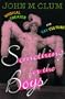 Something for the Boys: Musical Theater and Gay Culture