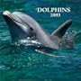 Dolphins Mini Wall Calendar
