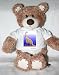 Teddy Bear with dinosaur, reptile, ness, monster, loch t-shirt
