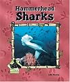 Hammerhead Sharks (Animal Kingdom Set II)