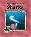 Book Hammerhead Sharks (Animal Kingdom Set II)