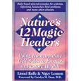 Nature's 12 Magic Healers: Using Homeopathic Cell Salts to Protect or Restore Health by  Lionel Rolfe and Nigey Lennon