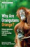 Why are orangutans orange? : science puzzles in pictures - with fascinating answers