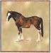 Clydesdale Horse Woven Lap Square (Throw Blanket)