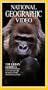 National Geographic Video: The Urban Gorilla [VHS]