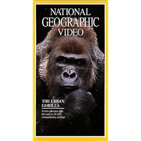 National Geographic Video: The Urban Gorilla [VHS]