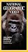 VHS : National Geographic Video: The Urban Gorilla