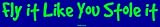 Fly it Like You Stole it Large Bumper Sticker