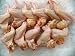 Fresh All Natural Jumbo Chicken Wings, 10 LBS !