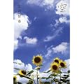 空