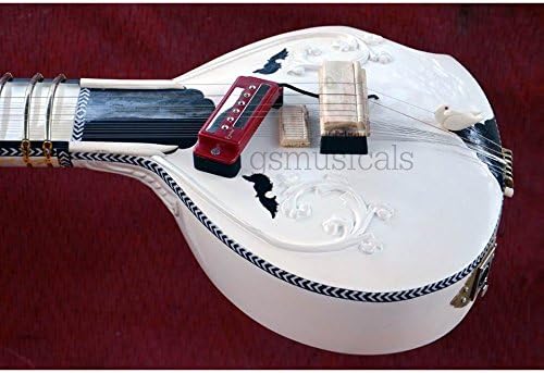 SITAR WHITE BEAUTY With Fibreglass case Shipping Free