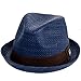 Peter Grimm Mens Navy Blue Depp Fedora Hat (XXL)