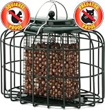 Squirrel Proof Oval Nut Feeder NT94