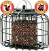Squirrel Proof Oval Nut Feeder NT94