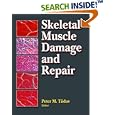 Skeletal Muscle Damage and Repair by  Peter M., Ph.D. Tiidus