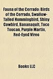 Fauna of the Cerrado: Birds of the Cerrado, Swallow-Tailed Hummingbird, Shiny Cowbird, Bananaquit, Toco Toucan, Purple Martin, Red-Eyed Vire-