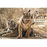 tiger forest a visual study of ranthambhore park