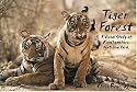 Tiger Forest: A Visual Study of Ranthambhore National Park