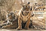 Tiger Forest: A Visual Study of Ranthambhore National Park